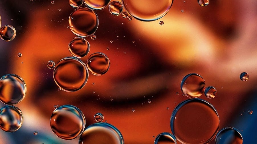 oil what to cook with